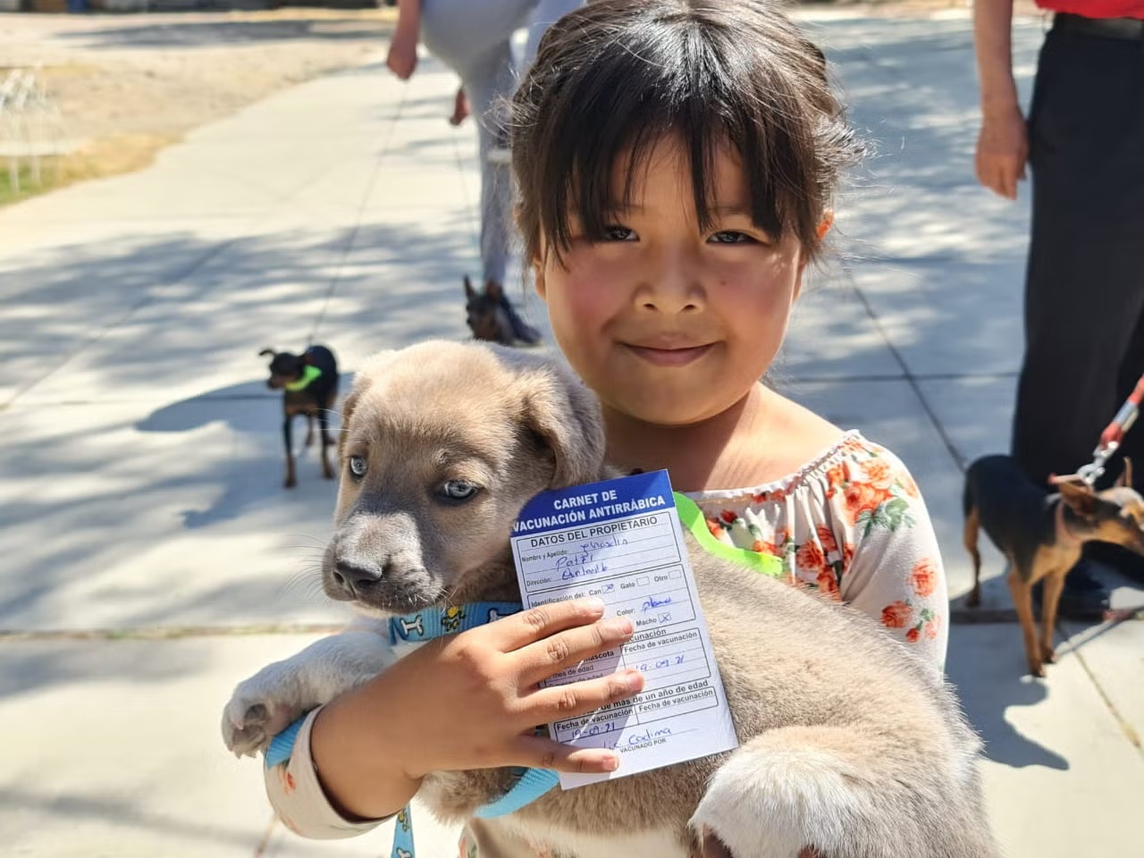 Perro en veterinario
